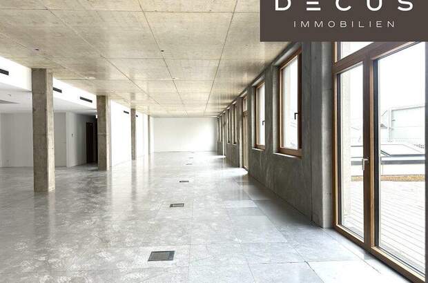 Büro / Praxis mieten in 1230 Wien (Bild 2)