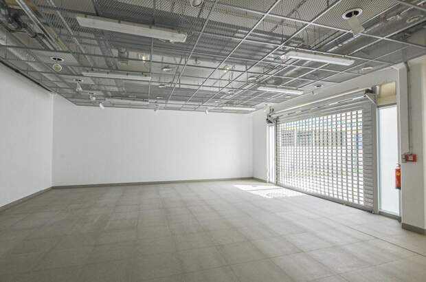 Gewerbeobjekt mieten in 1100 Wien (Bild 4)