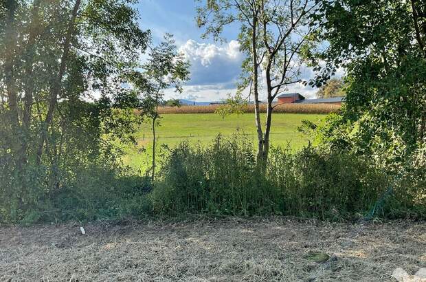 Grundstück kaufen in 8504 Preding (Bild 3)