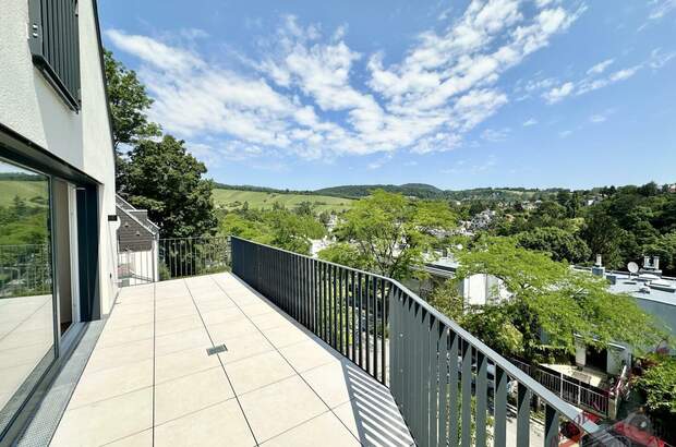 Terrassenwohnung kaufen in 1190 Wien (Bild 1)