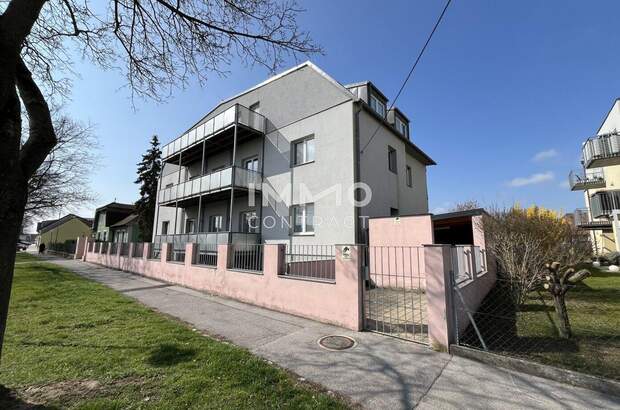 Anlageobjekt kaufen in 2273 Hohenau (Bild 1)