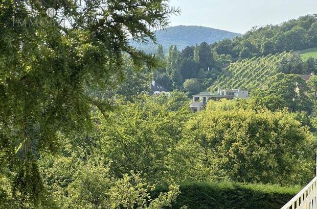 Grundstück kaufen in 1190 Wien (Bild 1)