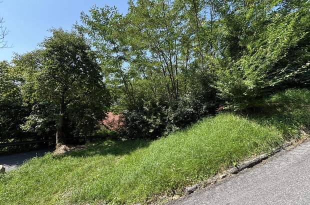 Grundstück kaufen in 8051 Thal (Bild 4)