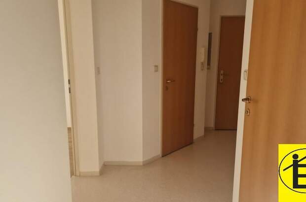 Terrassenwohnung mieten in 3241 Kirnberg (Bild 5)