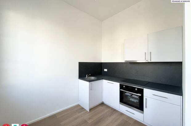 Wohnung mieten in 3430 Tulln (Bild 3)