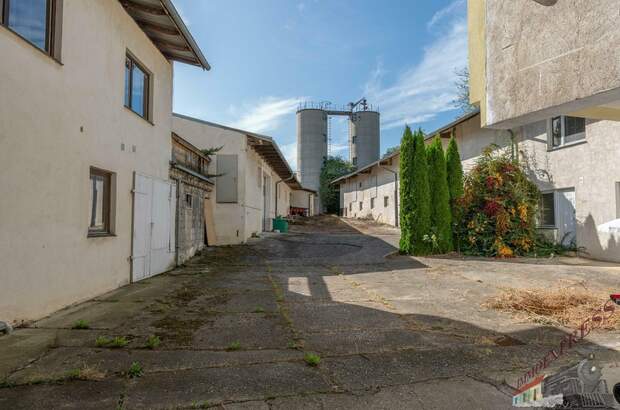 Einfamilienhaus kaufen in 2020 Groß (Bild 2)