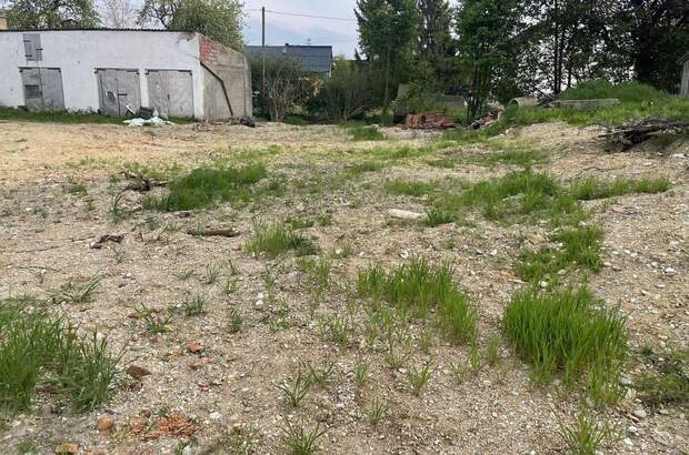 Haus kaufen in 5271 Moosbach (Bild 4)