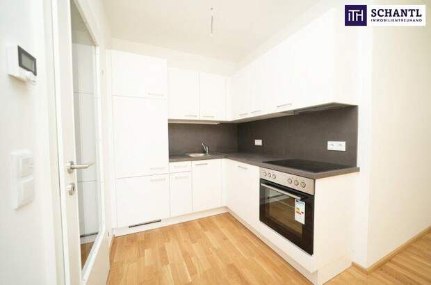 Terrassenwohnung kaufen in 8401 Kalsdorf (Bild 1)