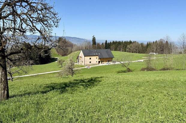 Gewerbeobjekt kaufen in 6850 Dornbirn (Bild 4)