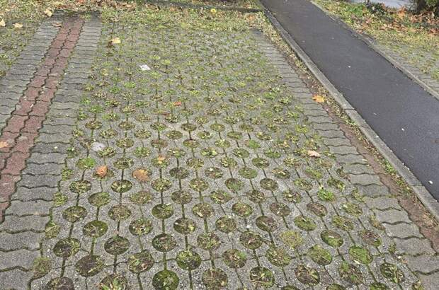 Immobilie mieten in 4053 Ansfelden (Bild 1)