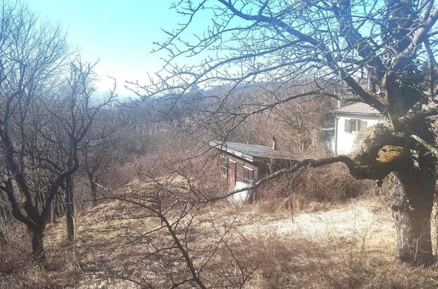 Haus kaufen in 2103 Langenzersdorf (Bild 2)