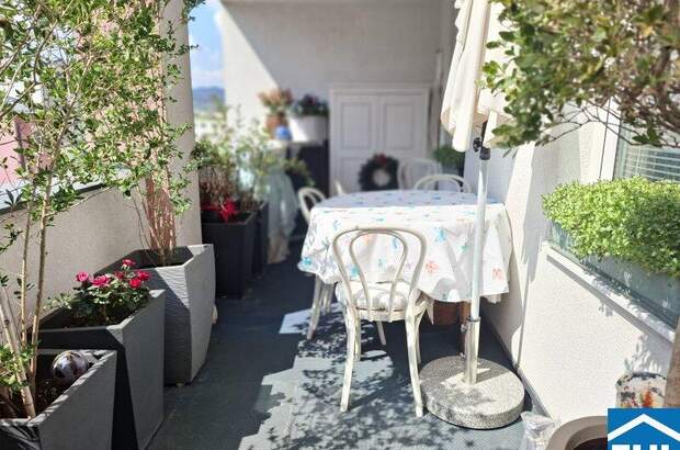 Terrassenwohnung kaufen in 2351 Wr. Neudorf (Bild 4)