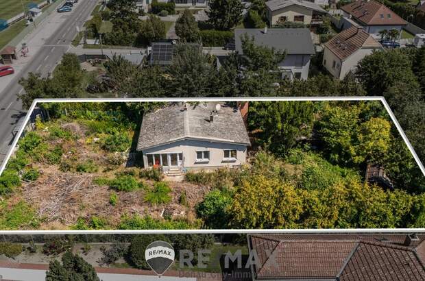 Einfamilienhaus kaufen in 2440 Mitterndorf (Bild 2)