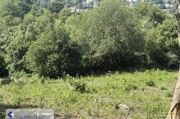 Grundstück kaufen in 3400 Klosterneuburg (Bild 4)