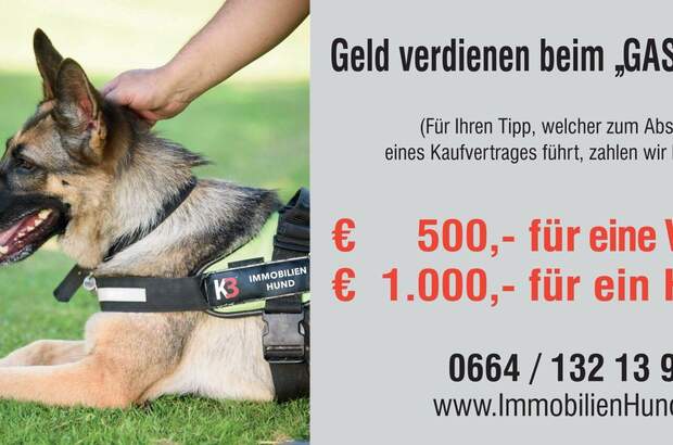 Grundstück kaufen in 5630 Bad Hofgastein (Bild 2)