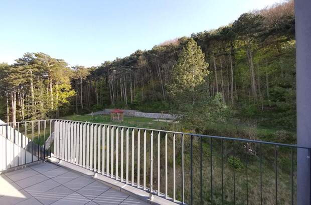 Wohnung mit Balkon mieten in 2340 Mödling (Bild 2)