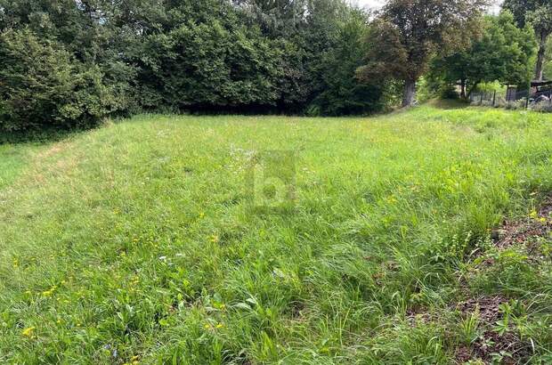 Grundstück kaufen in 9150 Bleiburg (Bild 2)