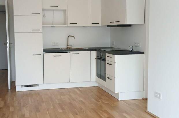 Wohnung mit Balkon mieten in 4600 Wels (Bild 1)