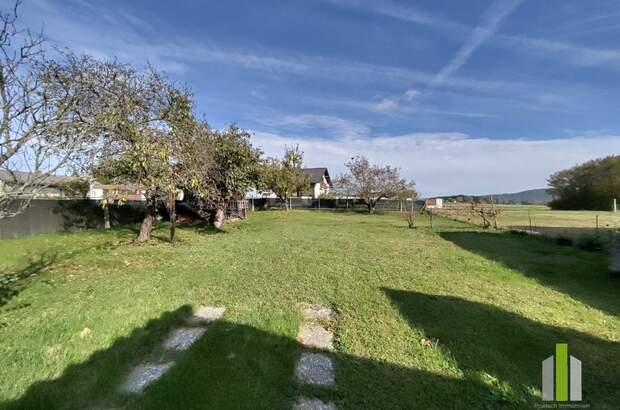 Einfamilienhaus kaufen in 7511 Mischendorf (Bild 3)