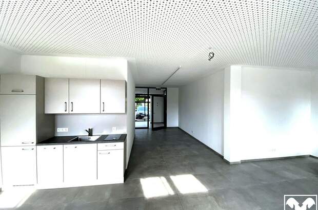 Gewerbeobjekt mieten in 4894 Oberhofen (Bild 3)