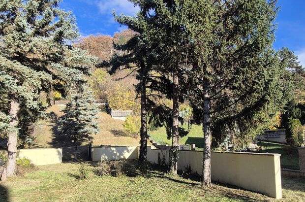 Haus kaufen in 2103 Langenzersdorf (Bild 3)