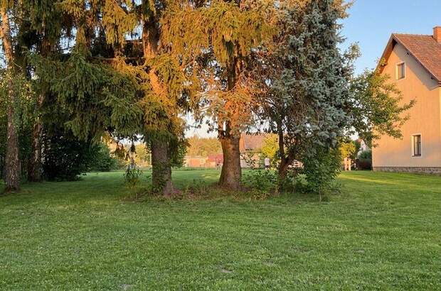Einfamilienhaus kaufen in 3874 Litschau (Bild 2)