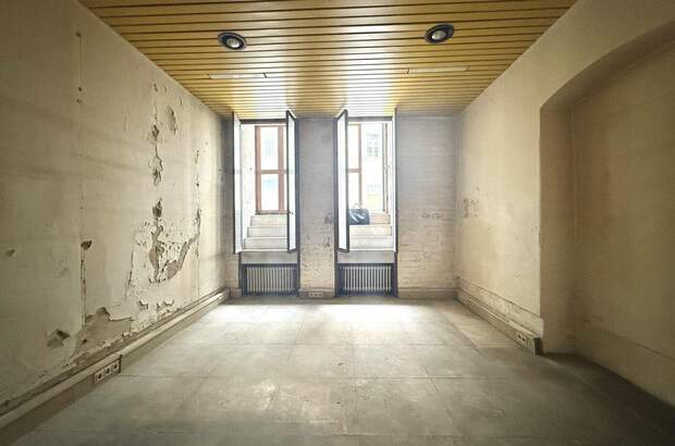 Gewerbeobjekt mieten in 1090 Wien (Bild 2)