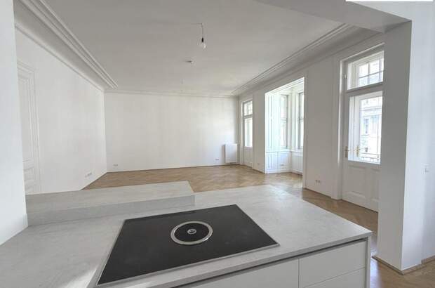 Terrassenwohnung mieten in 1010 Wien (Bild 2)