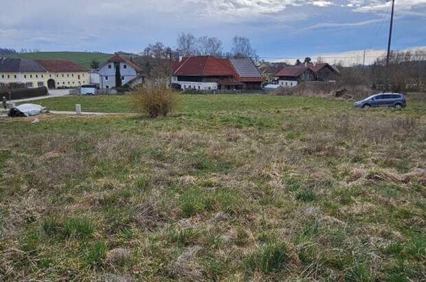 Grundstück kaufen in 4611 Buchkirchen (Bild 4)