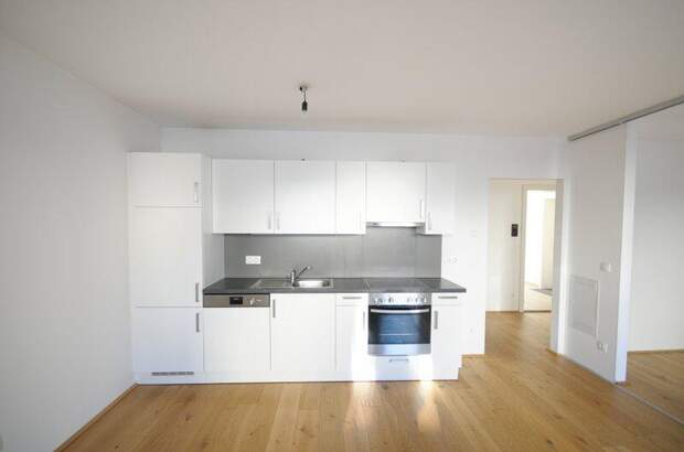 Terrassenwohnung mieten in 1170 Wien (Bild 1)
