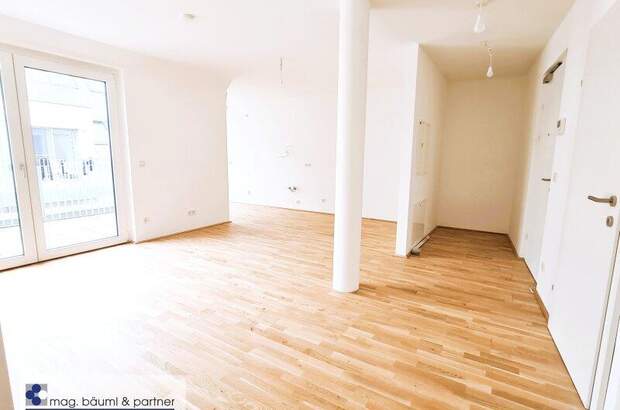 Terrassenwohnung kaufen in 1220 Wien (Bild 3)