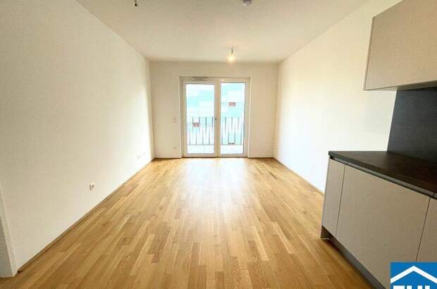 Terrassenwohnung mieten in 1210 Wien (Bild 2)