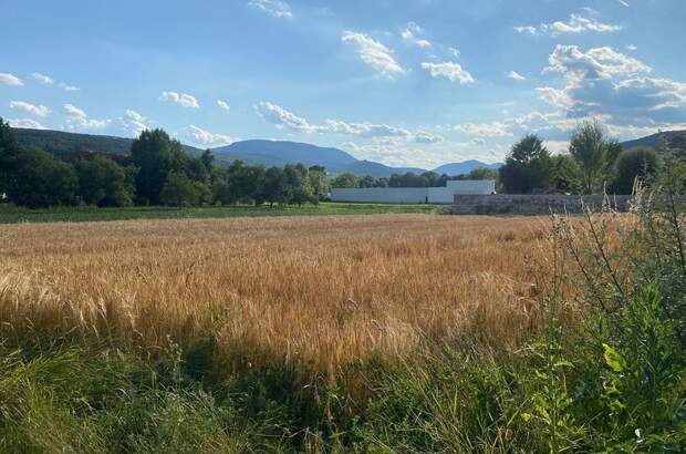 Grundstück kaufen in 2753 Markt Piesting (Bild 1)