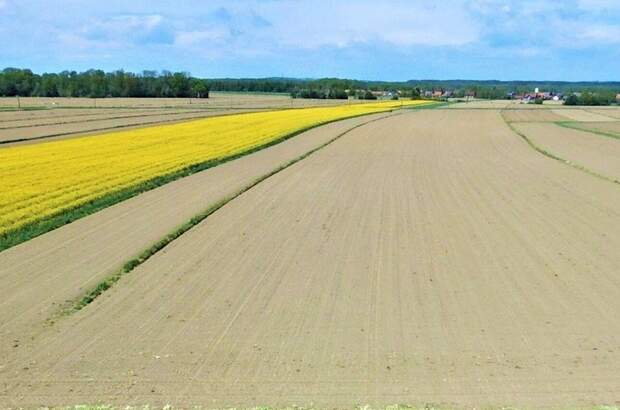 Grundstück kaufen in 8480 Mureck (Bild 1)