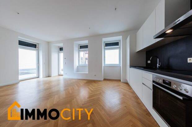 Terrassenwohnung mieten in 1060 Wien (Bild 1)