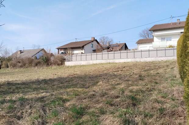 Grundstück kaufen in 4073 Wilhering (Bild 2)