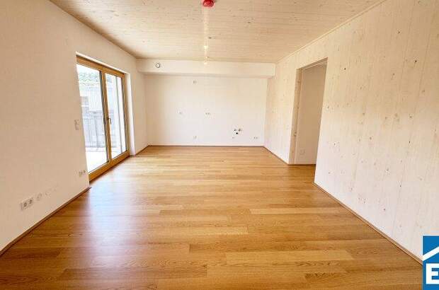 Terrassenwohnung kaufen in 2340 Mödling (Bild 1)