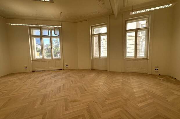 Gewerbeobjekt mieten in 1010 Wien (Bild 4)