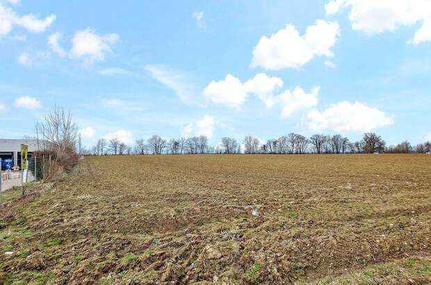 Grundstück mieten in 4975 Suben (Bild 2)