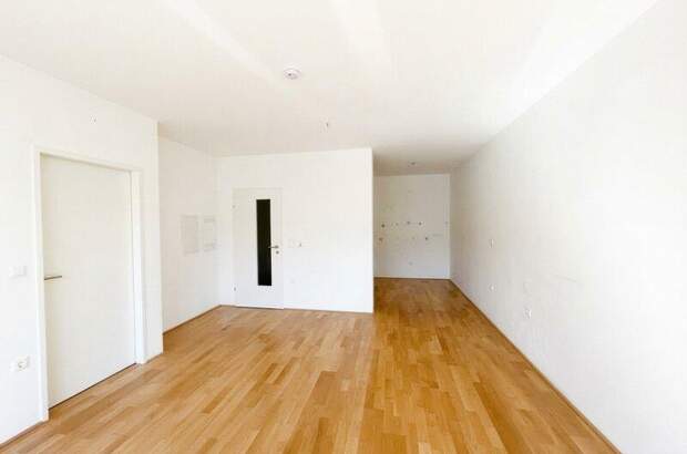 Terrassenwohnung mieten in 2700 Wr. Neustadt (Bild 1)