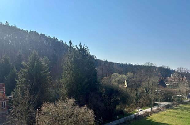 Wohnung kaufen in 8043 Graz (Bild 5)