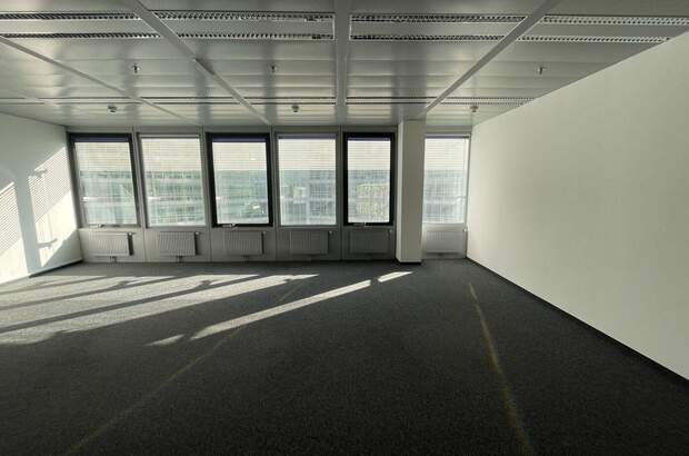 Gewerbeobjekt mieten in 1220 Wien (Bild 4)