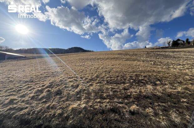 Grundstück kaufen in 8813 St. Lambrecht (Bild 2)