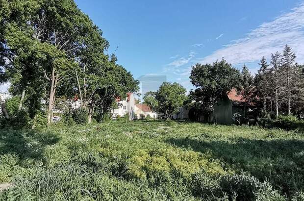 Grundstück kaufen in 2522 Oberwaltersdorf (Bild 3)