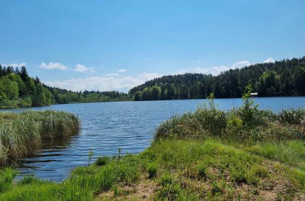 Einfamilienhaus kaufen in 9220 Velden (Bild 3)