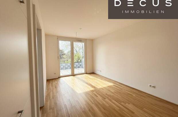 Terrassenwohnung mieten in 1220 Wien (Bild 1)