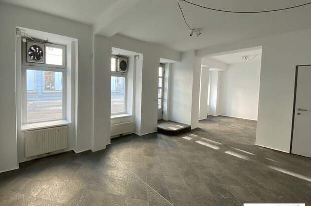 Gewerbeobjekt mieten in 1060 Wien (Bild 4)