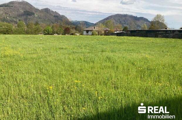 Grundstück kaufen in 4591 Molln (Bild 3)