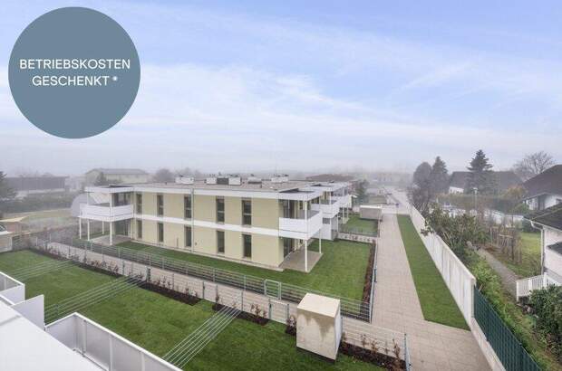 Terrassenwohnung kaufen in 2540 Bad Vöslau (Bild 1)