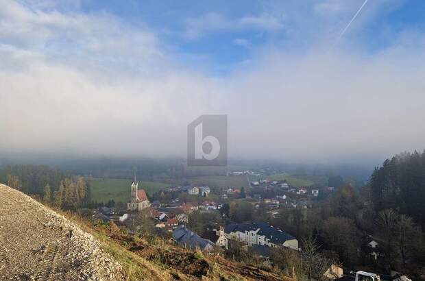 Grundstück kaufen in 4204 Reichenau